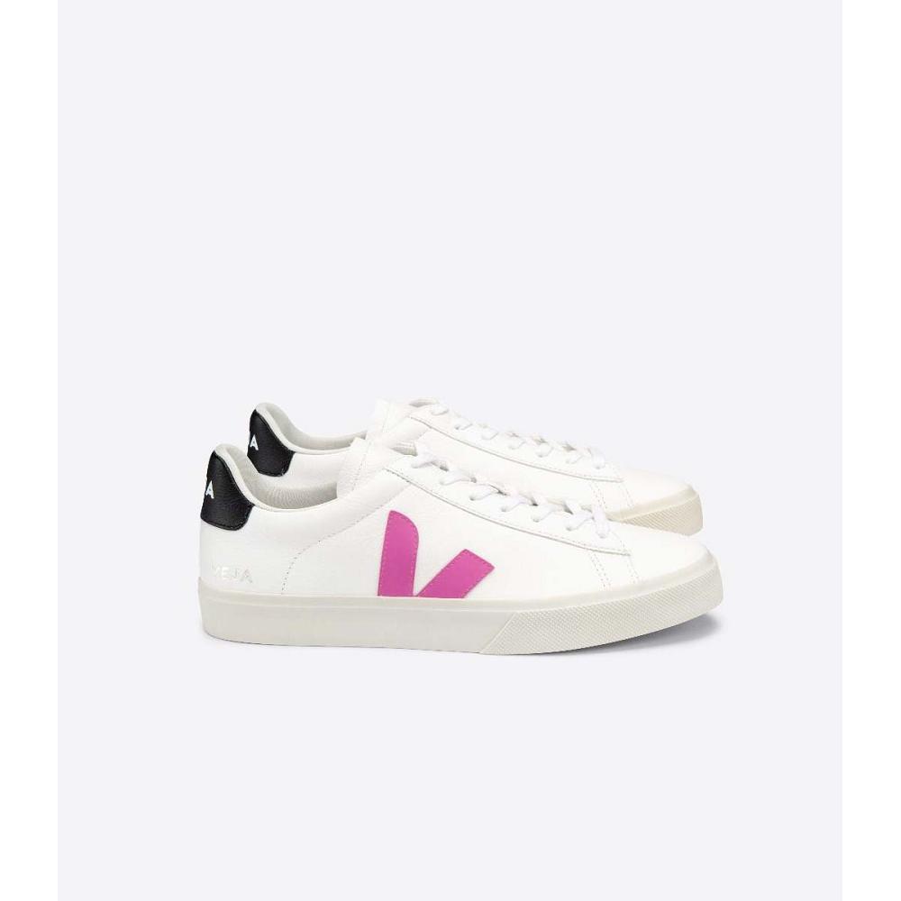 Veja CAMPO CHROMEFREE Low Tops Sneakers Dame White/Purple | NO 597FDN